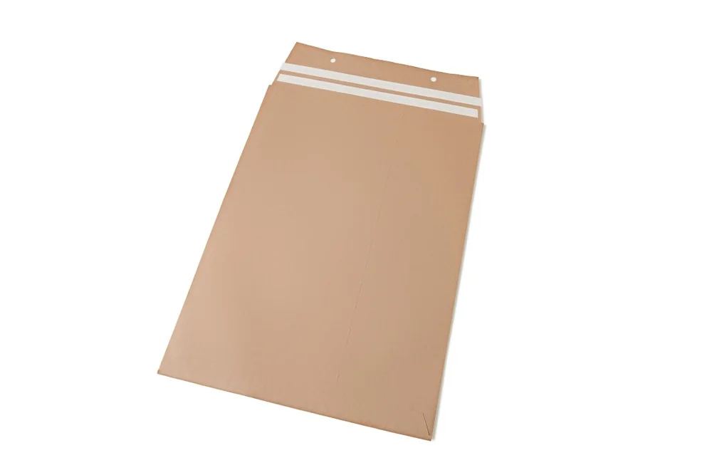 Paper mailer with double closure strip and wicket holes