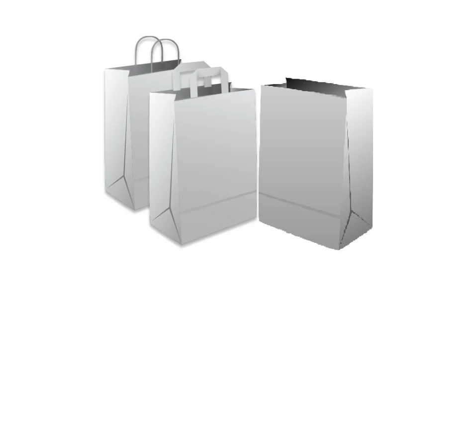 TRIUMPH 2-T8 — paper carrier bags with handles