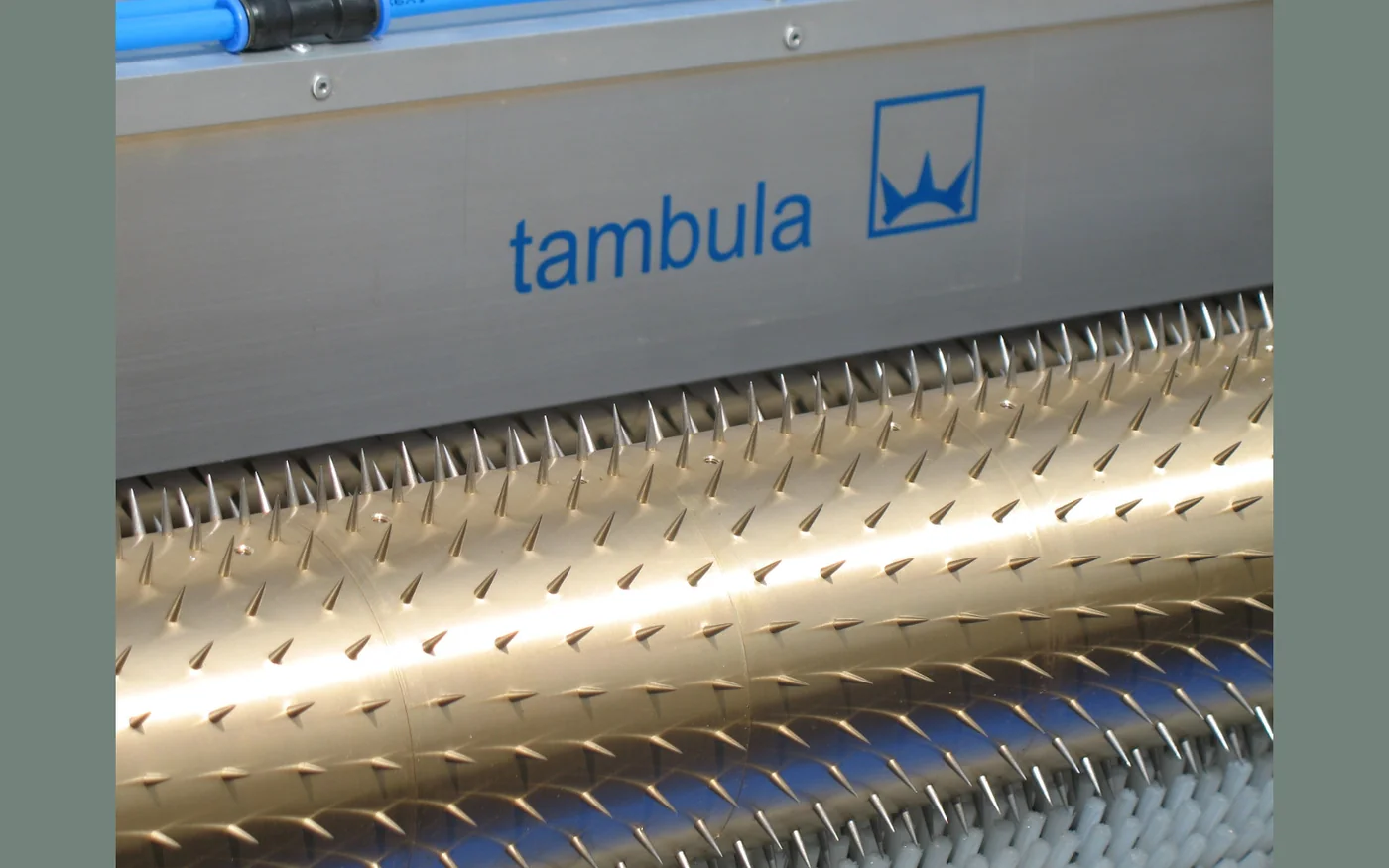 Tambula perforation machine with spiked roller